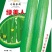 丝瓜种子早嫩油绿油亮丝瓜新品种早熟强雌瓜条顺直油亮