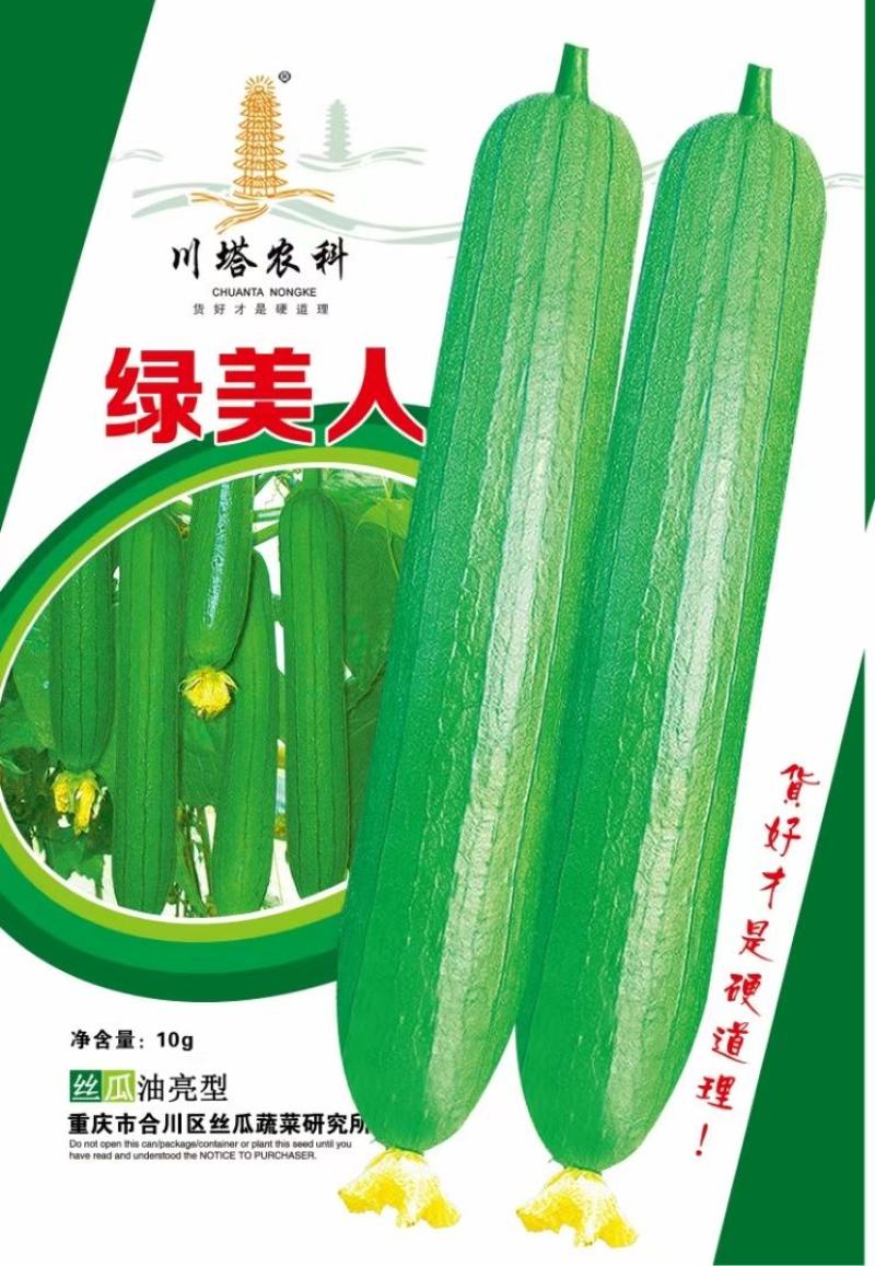 丝瓜种子早嫩油绿油亮丝瓜新品种早熟强雌瓜条顺直油亮