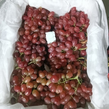 克伦生市场货中等货