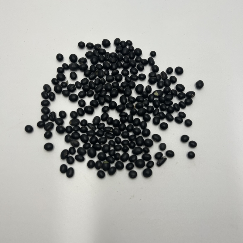 黑龙江黑豆黑豆黑豆衣新货散装选货中药材批发大量批发各种规
