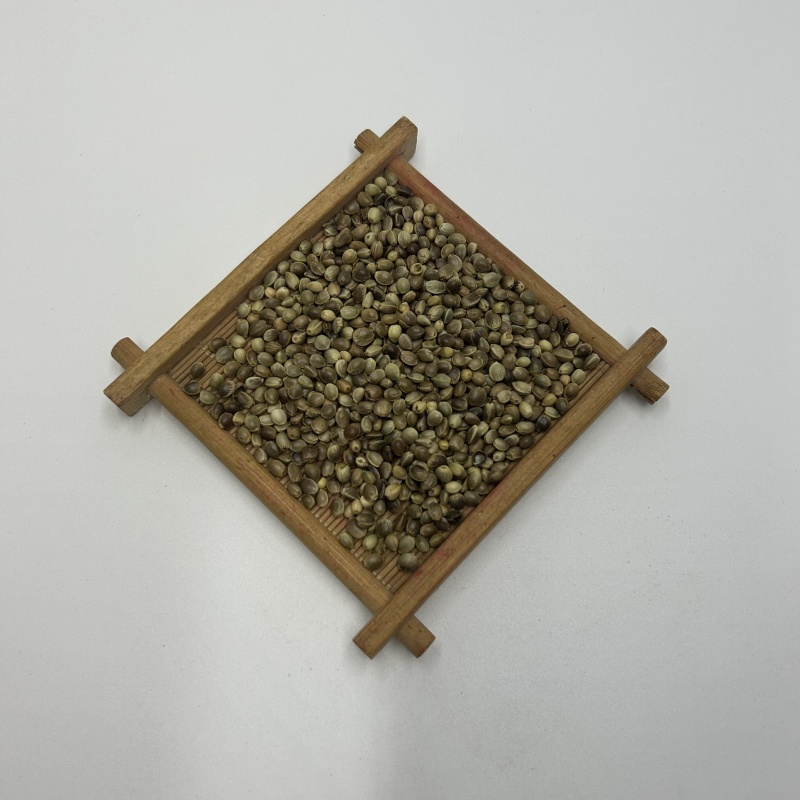 河北火麻仁生火麻仁带壳火麻仁新货散装统货中药材批发大量批