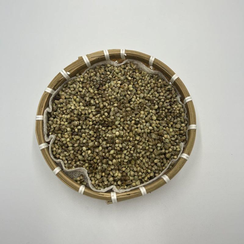 河北火麻仁生火麻仁带壳火麻仁新货散装统货中药材批发大量批