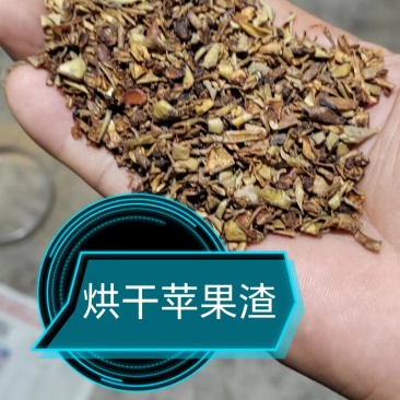 山西运城苹果渣