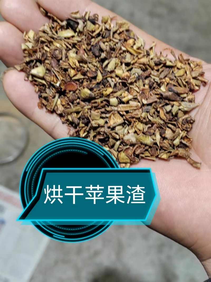 山西运城苹果渣