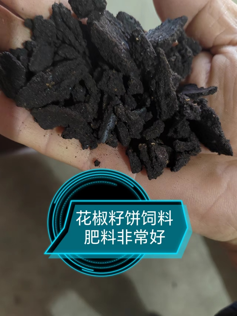 山西运城苹果渣