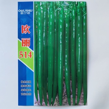 黑线椒种子欧兰德欧丽514深绿色线椒种子味辣硬度高辣椒种