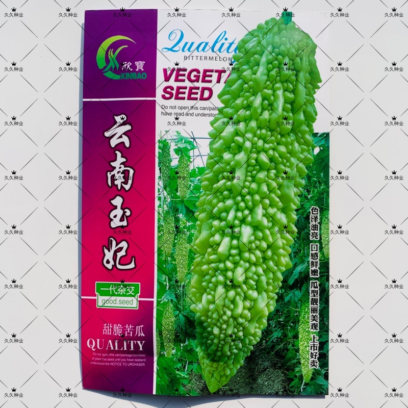 云南玉妃甜脆苦瓜种子台湾引进原种苦瓜种籽肉厚细脆珍珠苦瓜