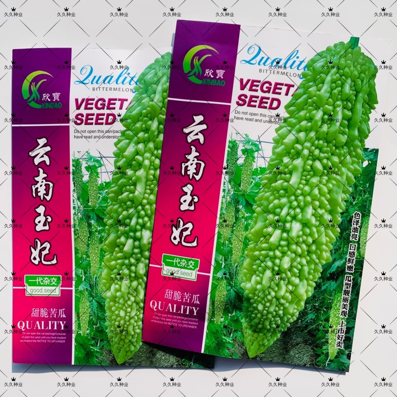 云南玉妃甜脆苦瓜种子台湾引进原种苦瓜种籽肉厚细脆珍珠苦瓜
