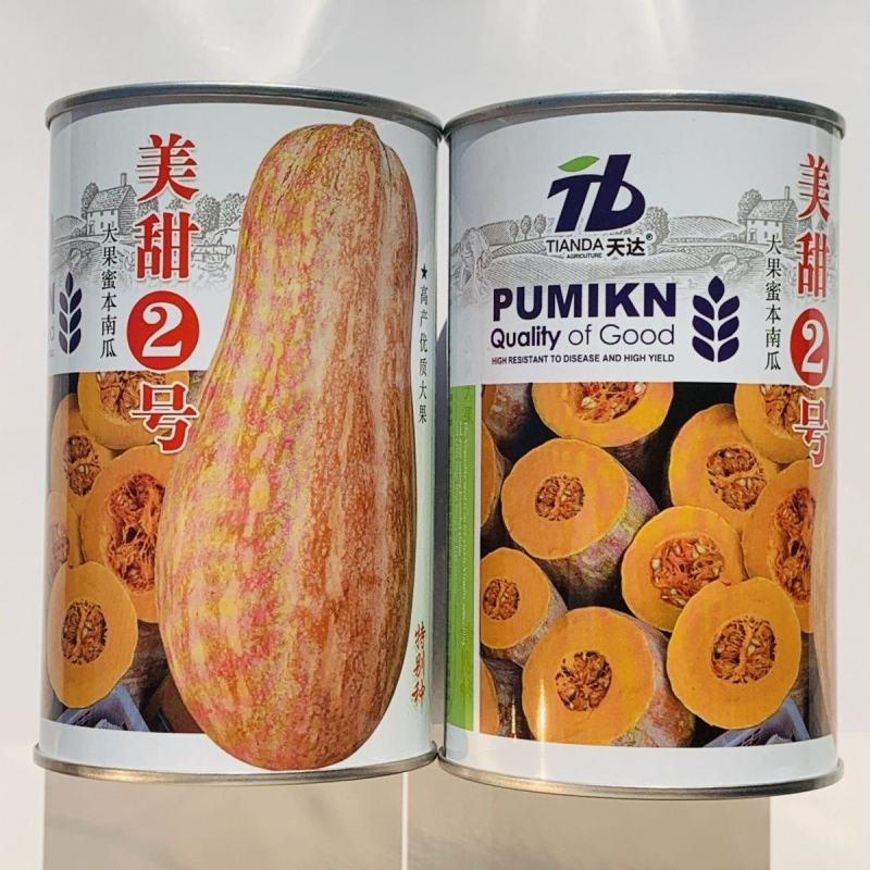 新品种美甜2号蜜本南瓜种子大果蜜本南瓜种籽优质高产粉