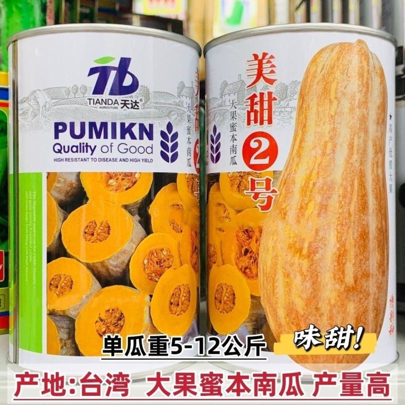 新品种美甜2号蜜本南瓜种子大果蜜本南瓜种籽优质高产粉