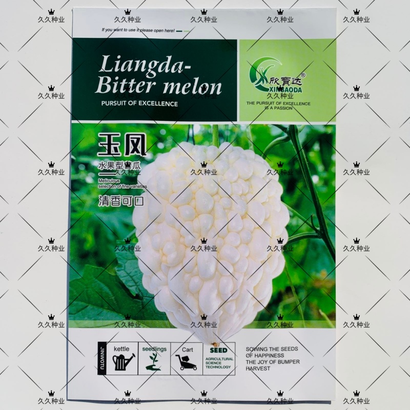 玉凤苹果水果型苦瓜种子农家生吃白苦瓜种籽春夏秋播四季蔬菜