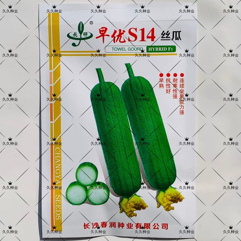 长研早优S14丝瓜种子耐热耐储运瓜条顺直商品性好早熟丝瓜