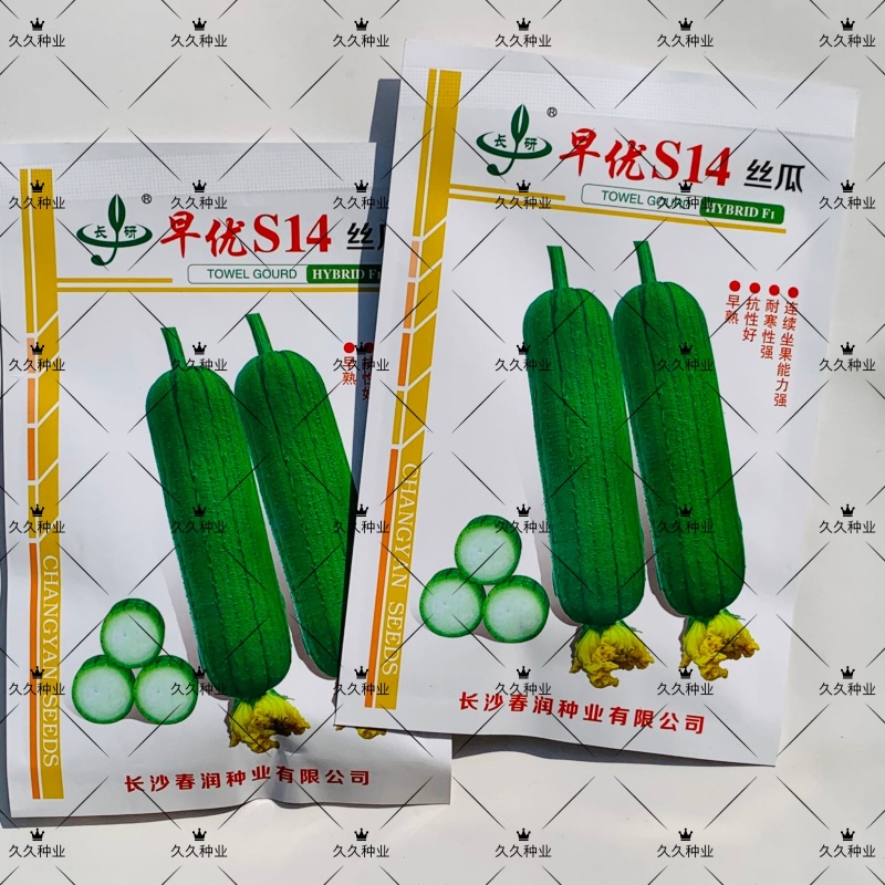 长研早优S14丝瓜种子耐热耐储运瓜条顺直商品性好早熟丝瓜
