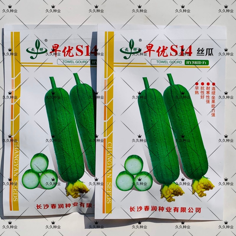 长研早优S14丝瓜种子耐热耐储运瓜条顺直商品性好早熟丝瓜