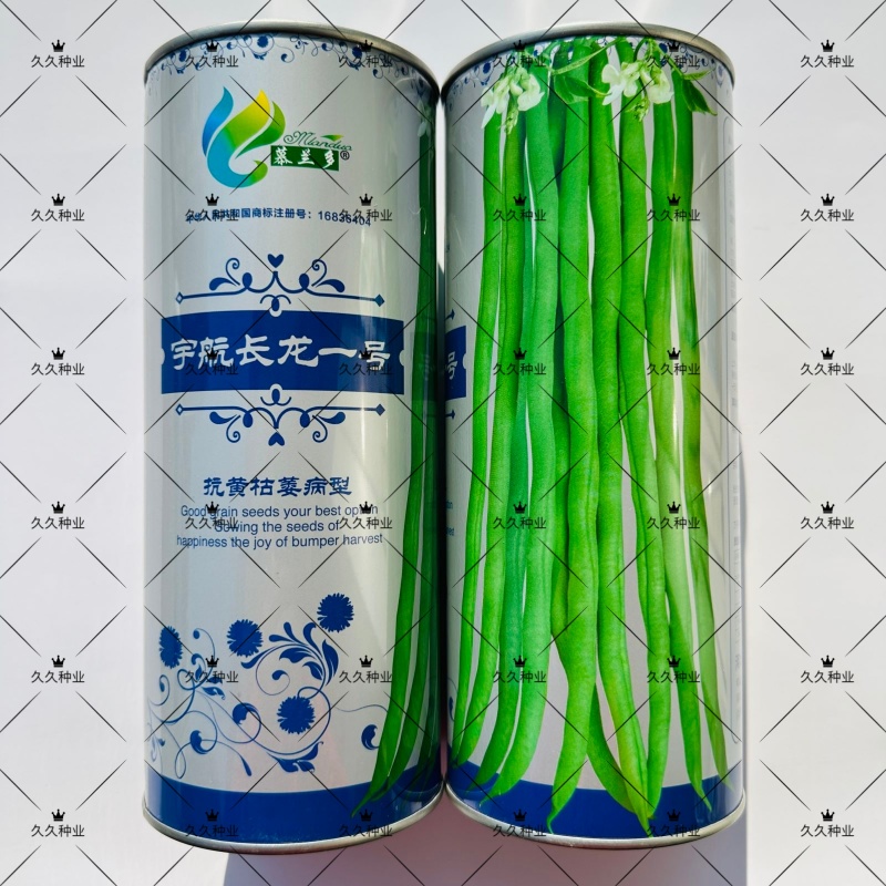 宇航长龙一号架豆王种子特长无筋架豆种子抗黄枯萎病型四季豆