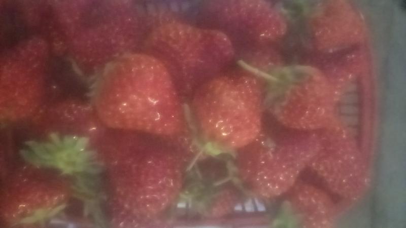 上海红颜奶油草莓
