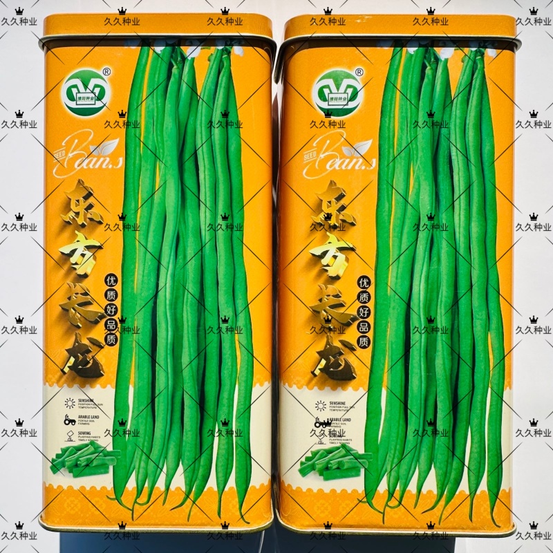 东方长龙架豆种子优质好品质无筋架豆王种子早熟高产无纤维菜