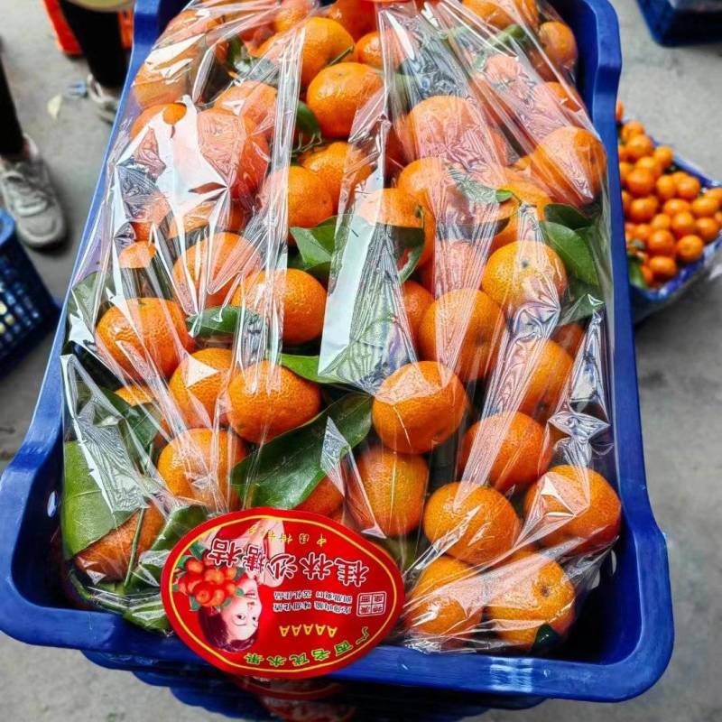 砂糖橘