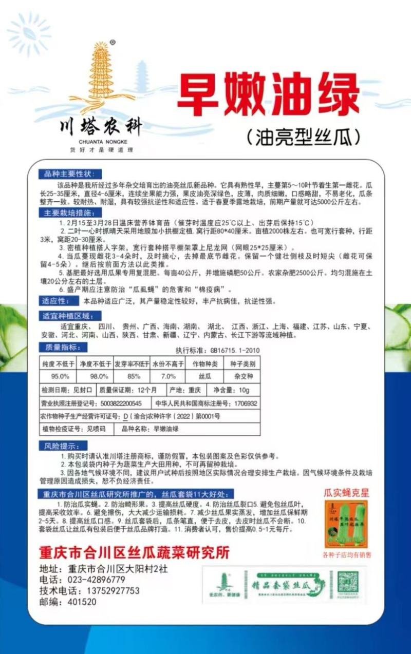 丝瓜种子早嫩油绿油亮丝瓜新品种早熟强雌瓜条顺直油亮