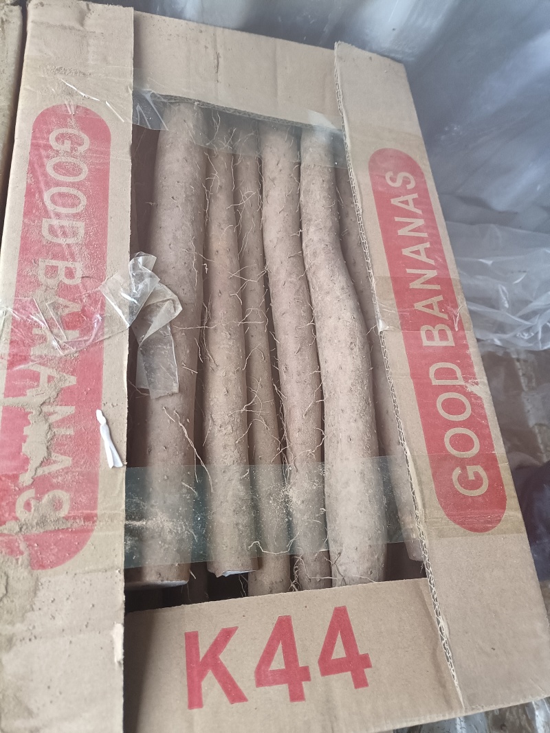 山东山药白玉山药网兜网袋山药电商山药产地直发
