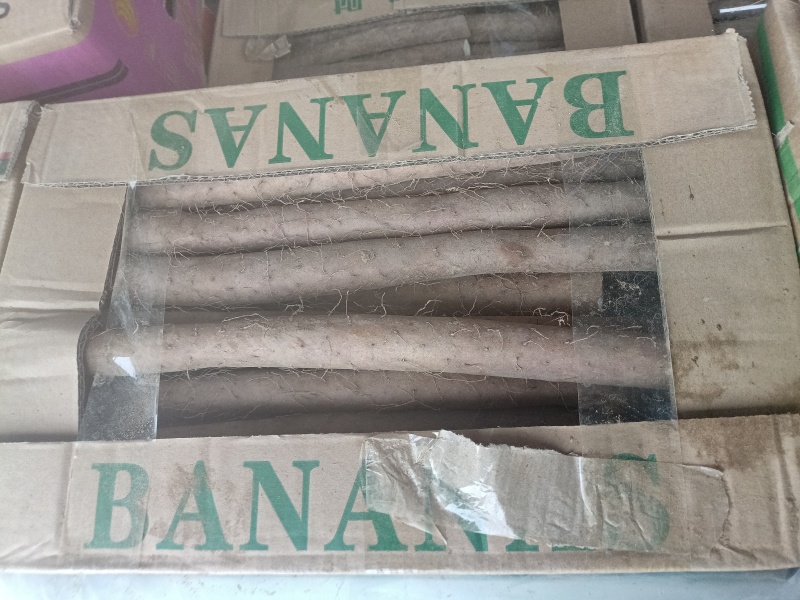 山东山药白玉山药网兜网袋山药电商山药产地直发