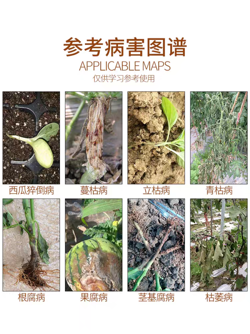 嘧菌酯恶霉灵颗粒剂土壤消毒药根腐立枯枯萎病杀菌剂