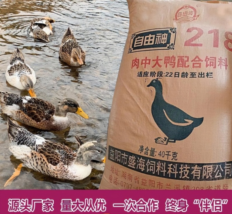 湖南肉鸭全价配合饲料催肥快羽毛齐整80斤一包