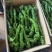 螺丝椒大量上市欢迎选购