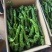 螺丝椒大量上市欢迎选购