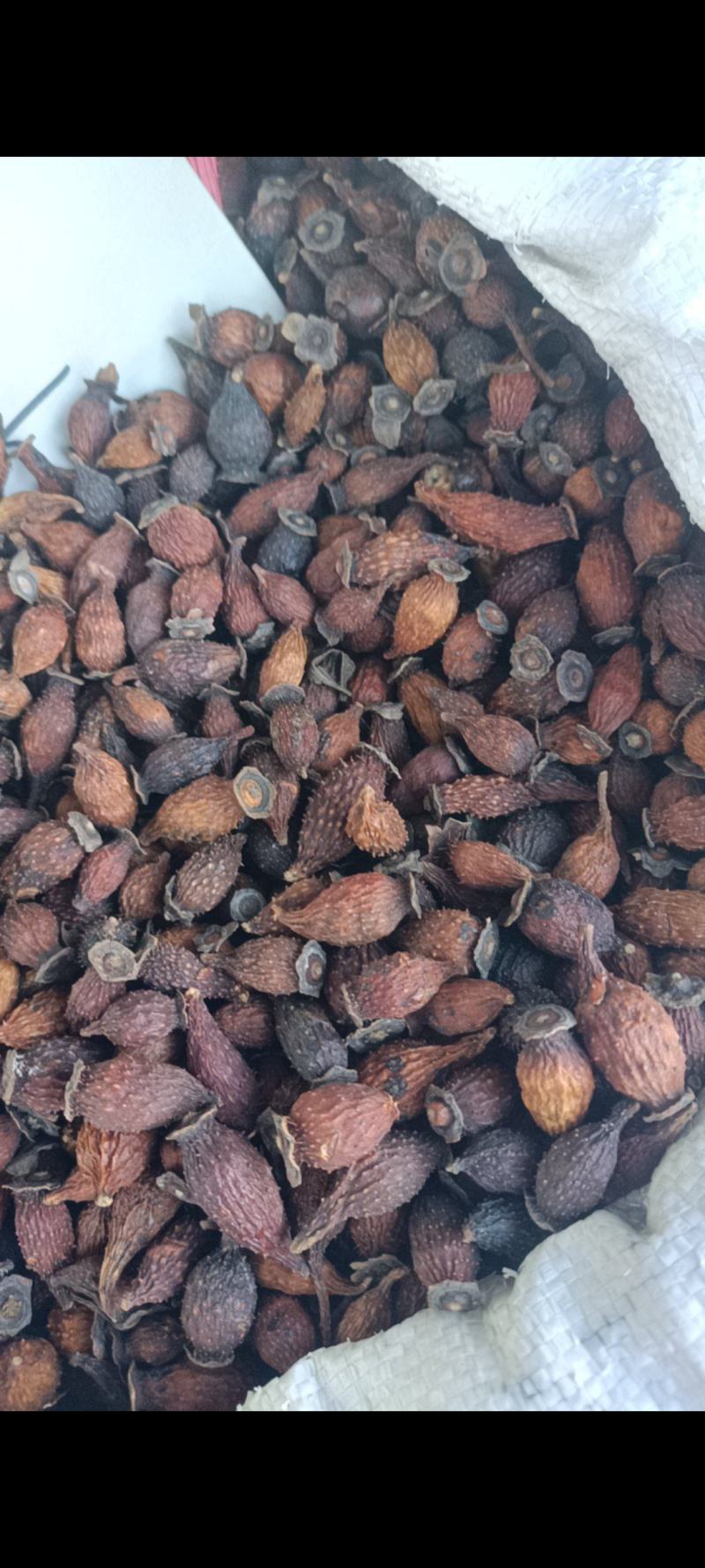 金樱子江西地产地道药材金樱子