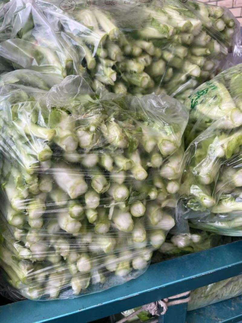 湖北宜昌白菜苔新鲜翠绿货量充足供应各大档口商超电商