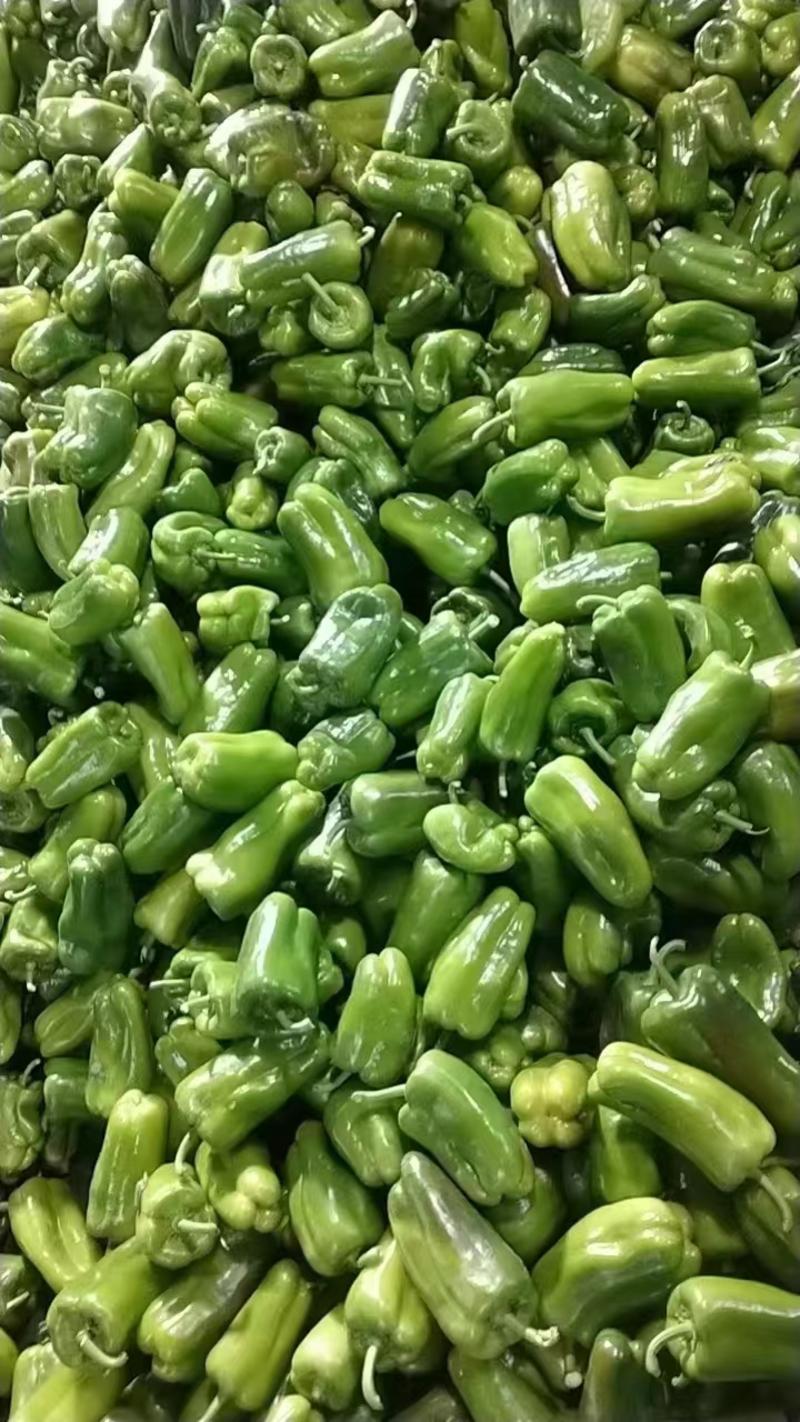鲜辣椒太空椒产地直发品质保障量大优惠对接商超市场