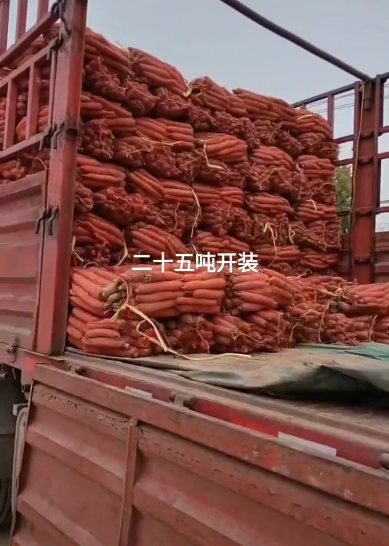 陕西红萝卜，电商网贷货，带叶子红萝卜，称杆萝卜，北京红