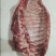 母猪排骨大肋排精肋排腊排原料新货手续齐全厂家直发量大价优
