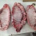 母猪排骨大肋排精肋排腊排原料新货手续齐全厂家直发量大价优