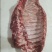 母猪排骨大肋排精肋排腊排原料新货手续齐全厂家直发量大价优