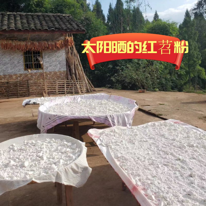 四川优选红薯粉干净无杂质品质好可视频看货价格优惠欢迎咨询