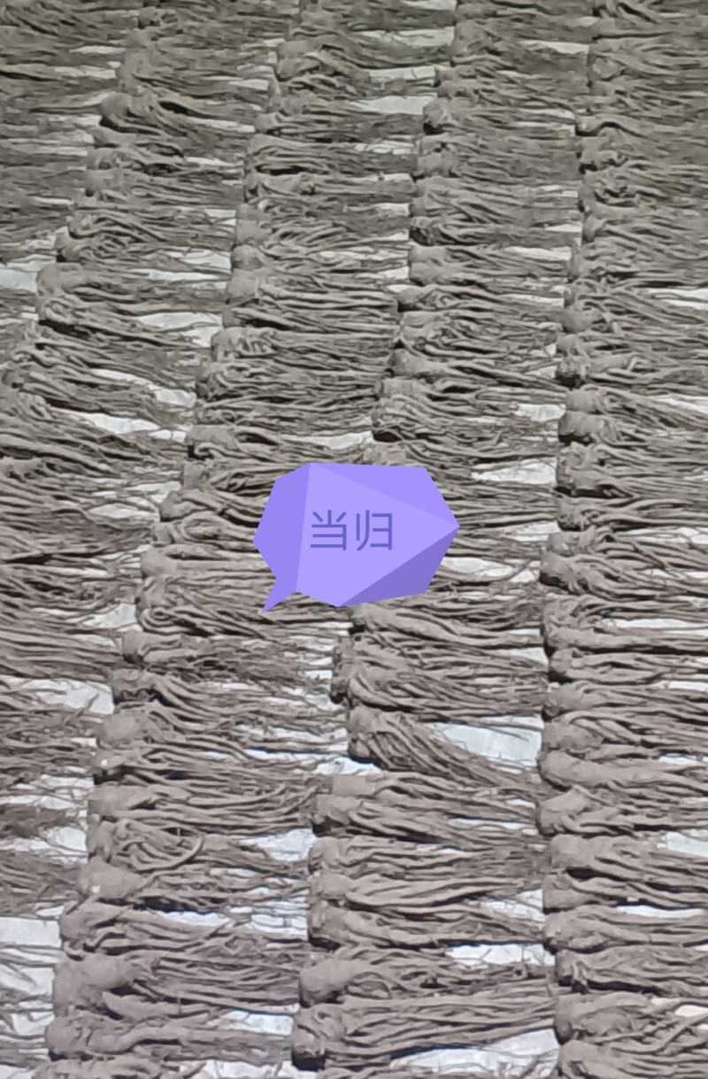优质当归，产地直发，货源充足，品质保证。欢迎老板采购