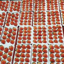 红颜草莓，各种规格
