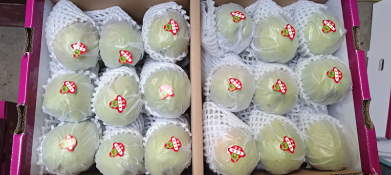 精品新疆阿克苏香梨产地直销，质量保证，欢迎来电咨询
