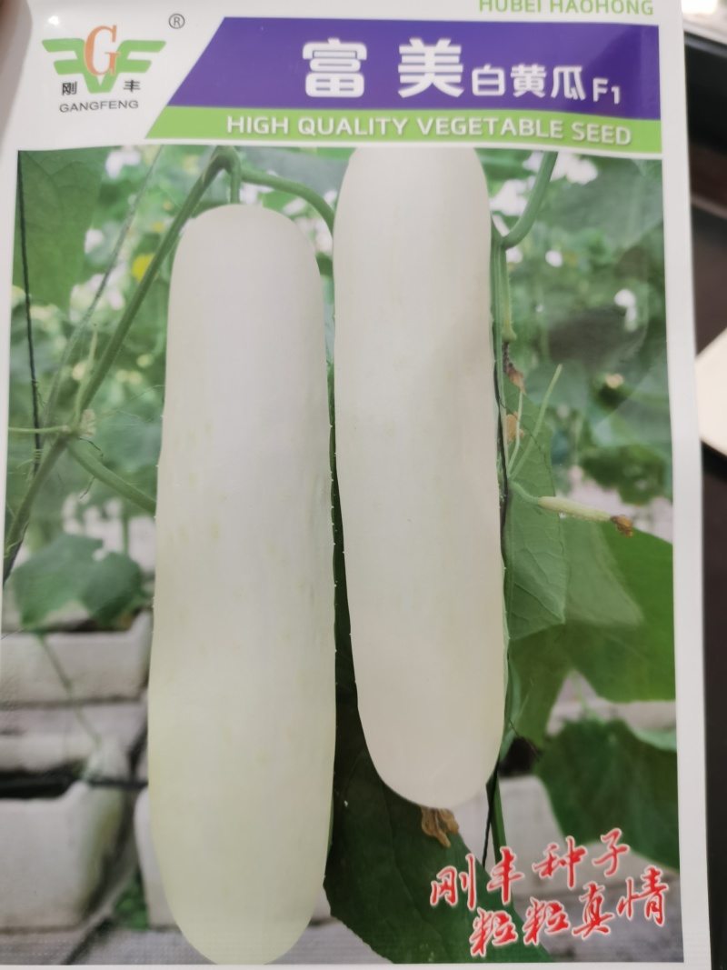 富美白黄瓜种子F1品质细嫩形直美观