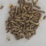 联大母兔饲料