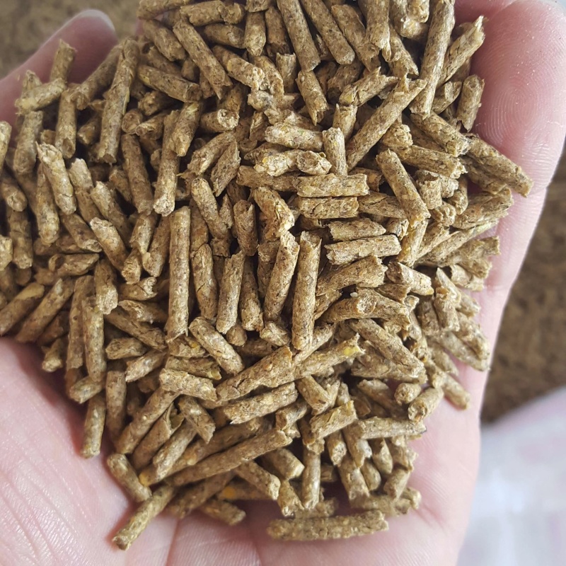 联大母兔饲料