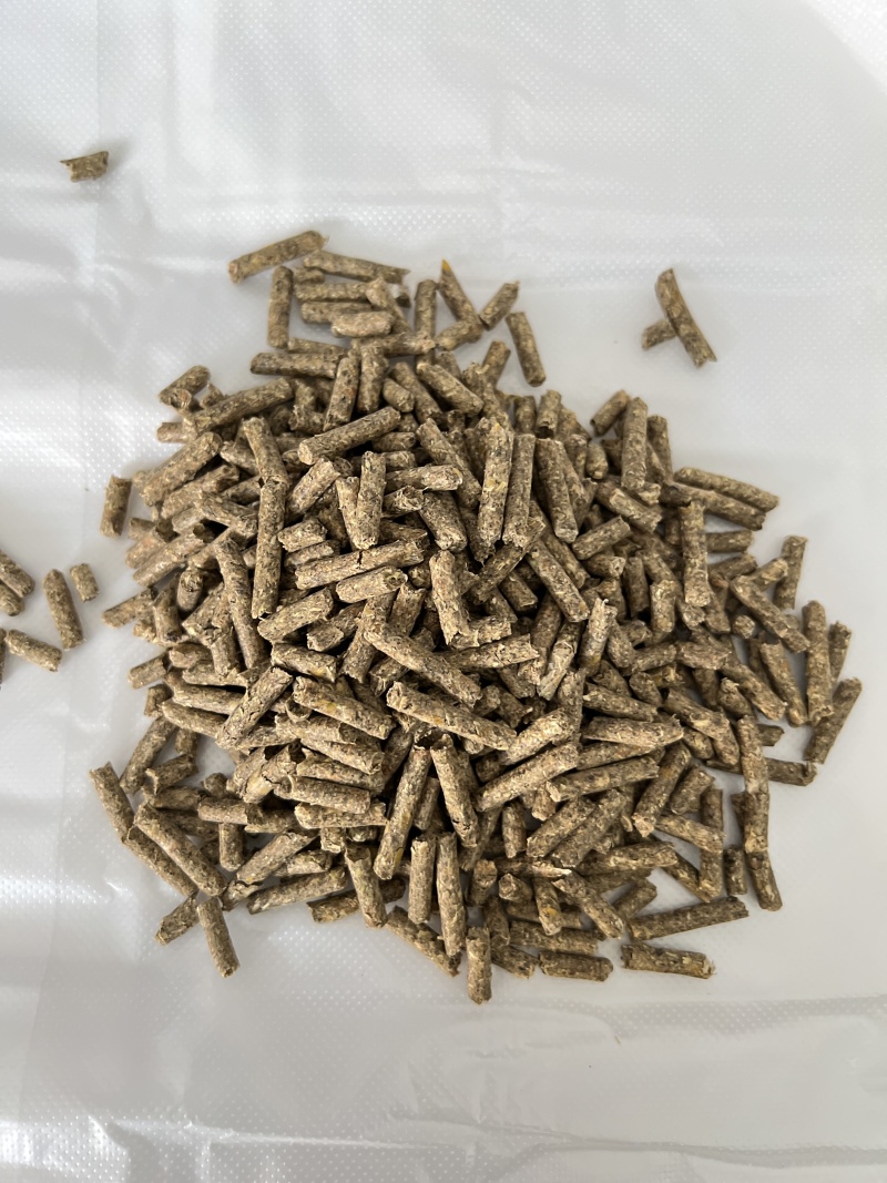 联大母兔饲料