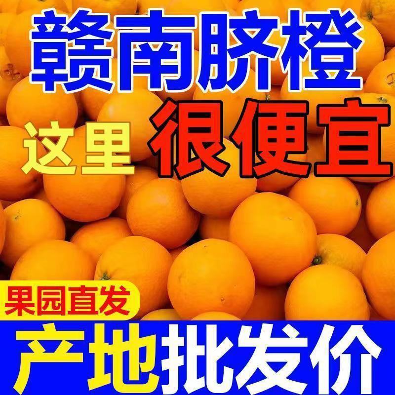【赣州产地直发】赣南脐橙江西橙子新鲜应季水果整箱批发包邮