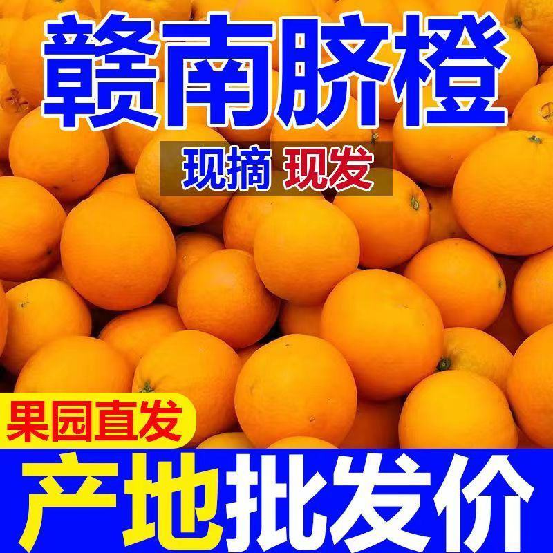 【赣州产地直发】赣南脐橙江西橙子新鲜应季水果整箱批发包邮