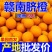 【赣州产地直发】赣南脐橙江西橙子新鲜应季水果整箱批发包邮