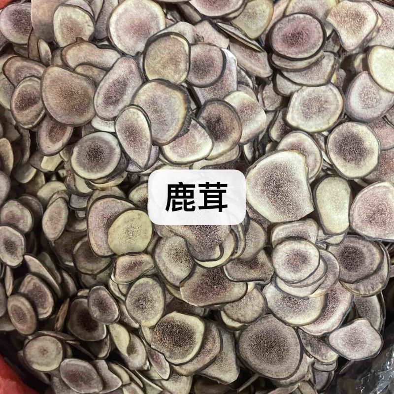 鹿茸中药材批发