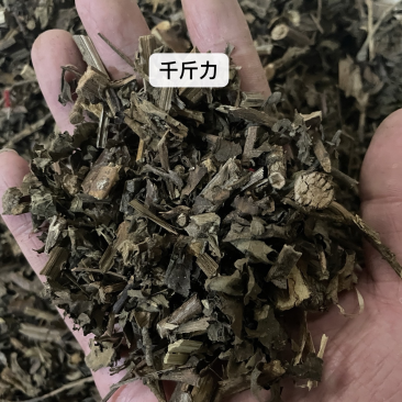 千斤力中草药保真保量产地直售包邮