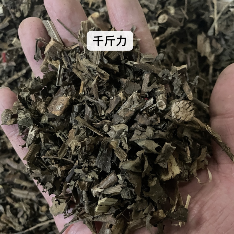 千斤力中草药保真保量产地直售包邮